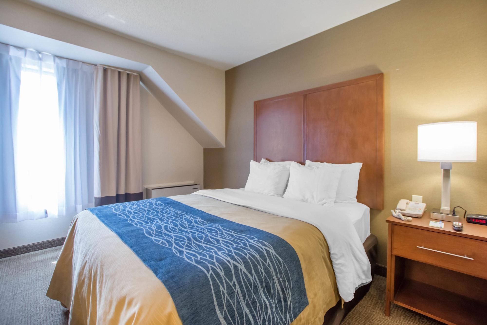 Comfort Inn Bathurst Εξωτερικό φωτογραφία