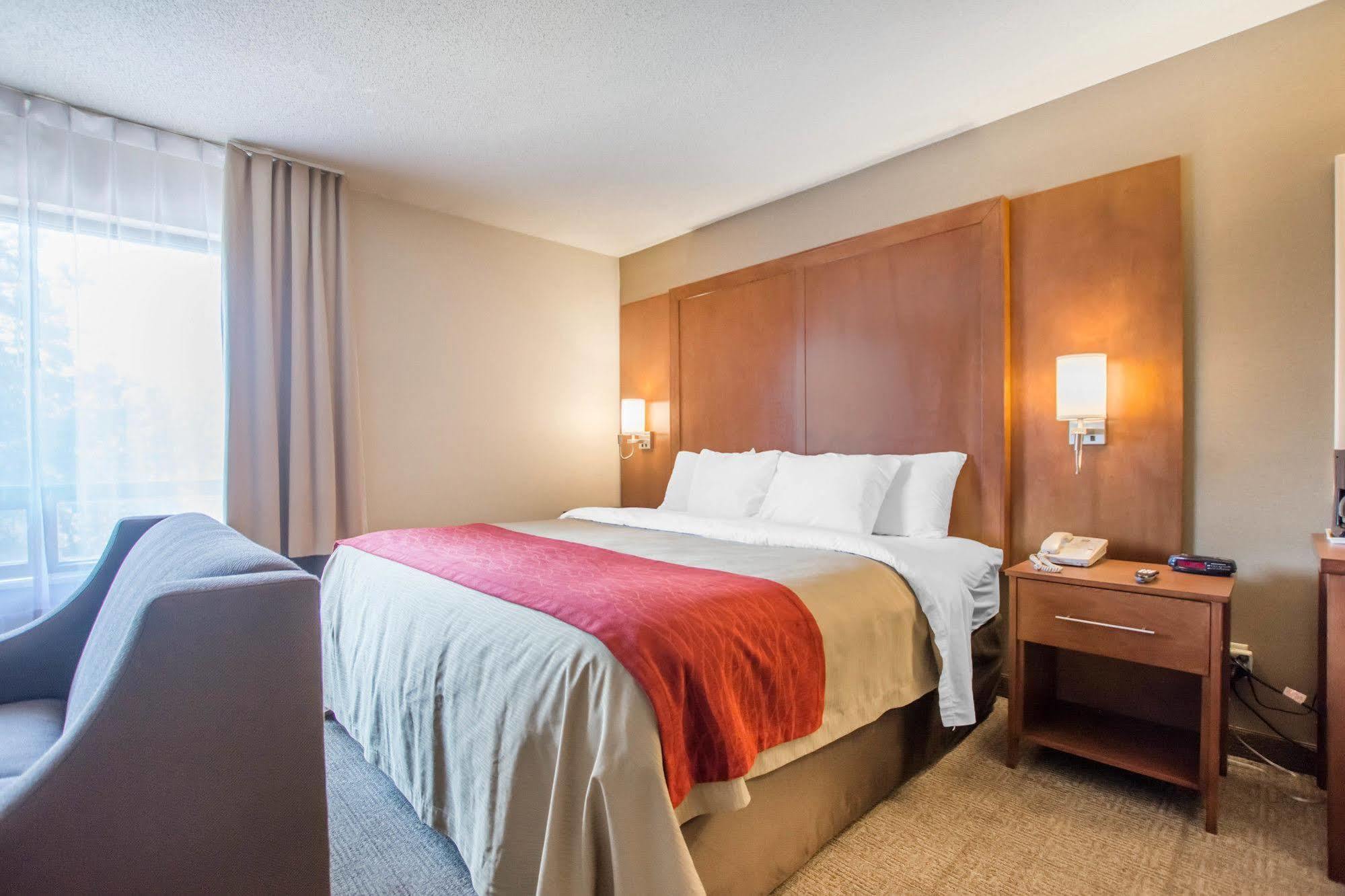Comfort Inn Bathurst Εξωτερικό φωτογραφία